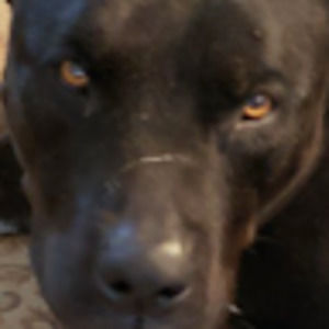 Meet your Posher, Richard